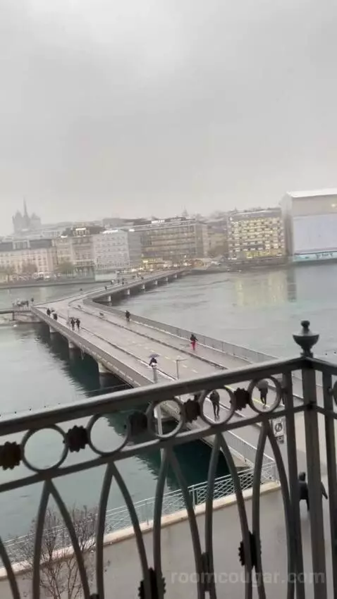 Presidential Suite Geneve view picture #2