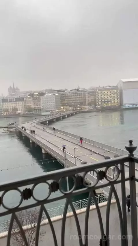 Presidential Suite Geneve view picture #4
