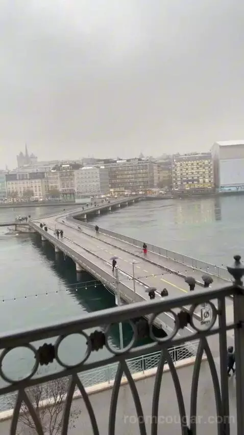 Presidential Suite Geneve view picture #5