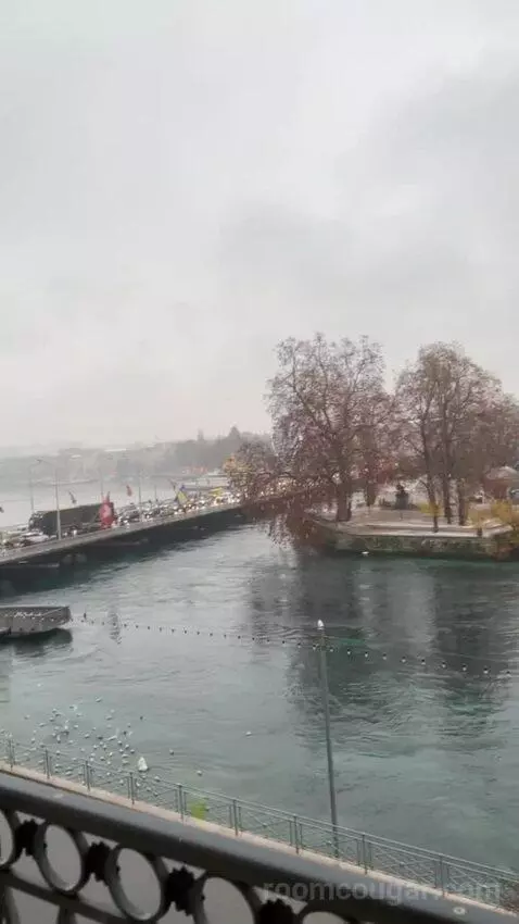 Presidential Suite Geneve view picture #7