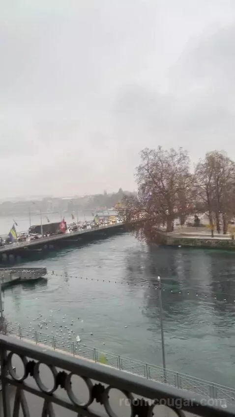 Presidential Suite Geneve view picture #9