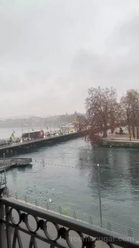 Presidential Suite Geneve view picture #10