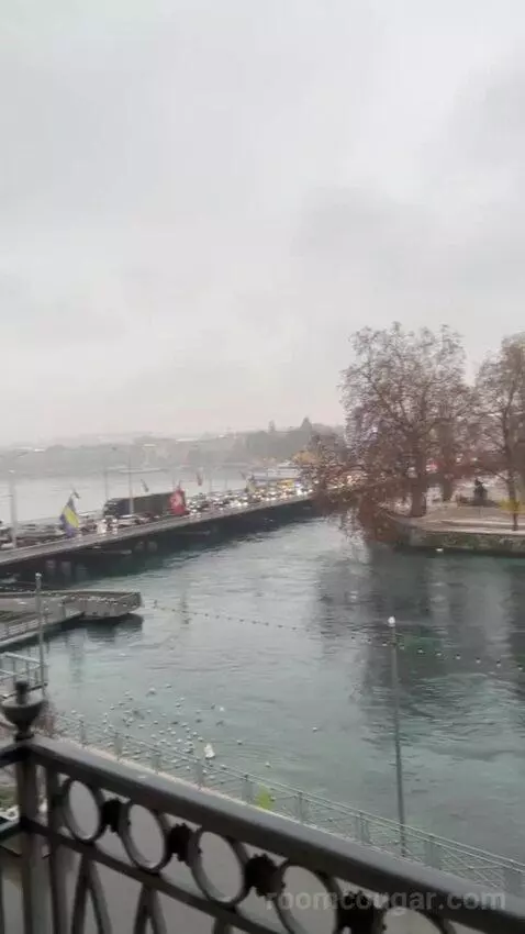 Presidential Suite Geneve view picture #11