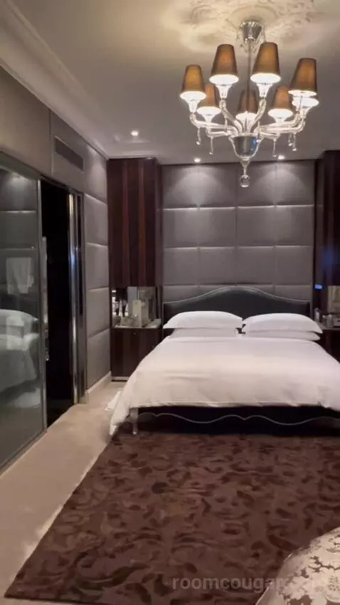 Presidential Suite Geneve bed picture #12