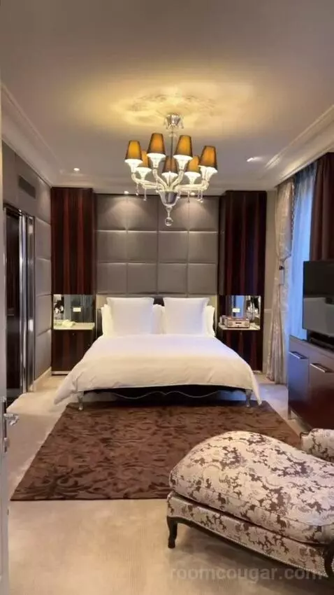 Presidential Suite Geneve bed picture #3