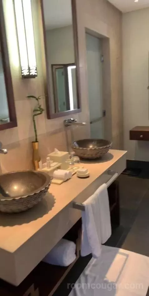 Deluxe Canyon View Room bathroom picture #4