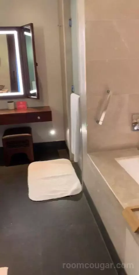 Deluxe Canyon View Room bathroom picture #8