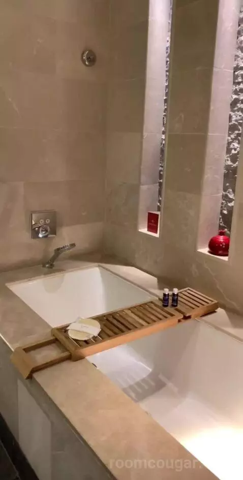 Deluxe Canyon View Room bathroom picture #10