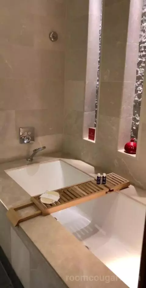 Deluxe Canyon View Room bathroom picture #12