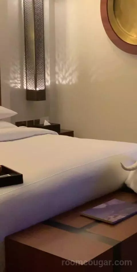 Deluxe Canyon View Room bed picture #6