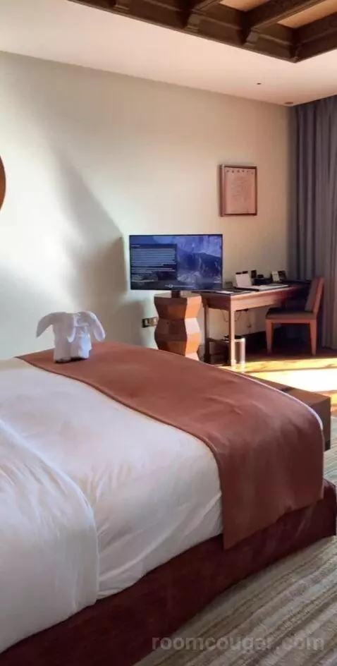 Deluxe Canyon View Room bed picture #2