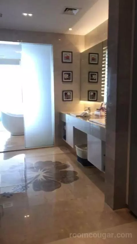 Premium Pool Suite bathroom picture #4