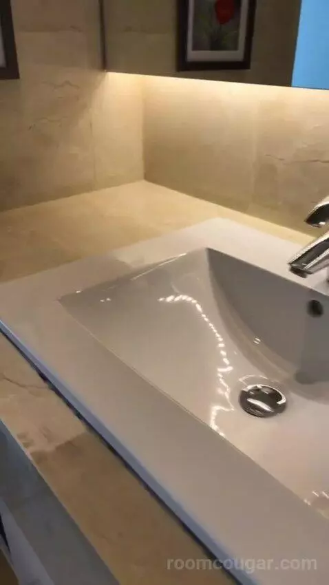 Premium Pool Suite bathroom picture #7