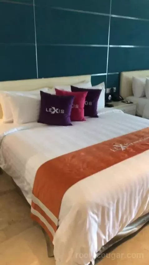 Premium Pool Suite view picture #3