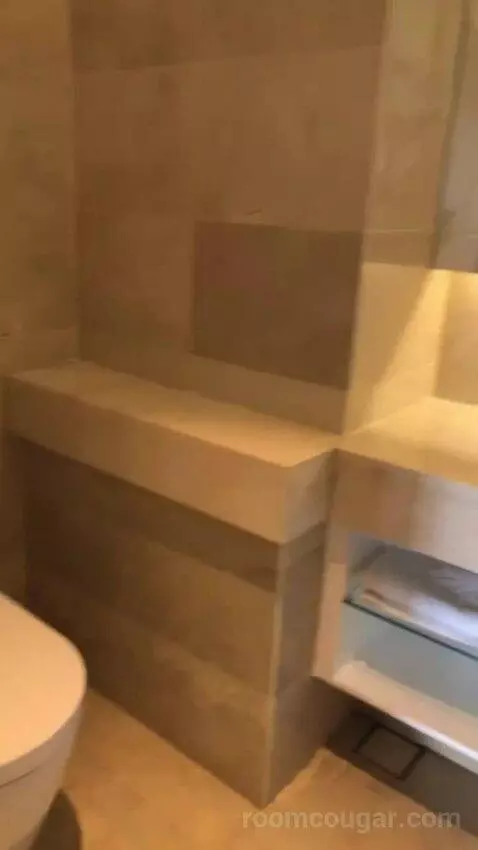 Premium Pool Suite bathroom picture #1