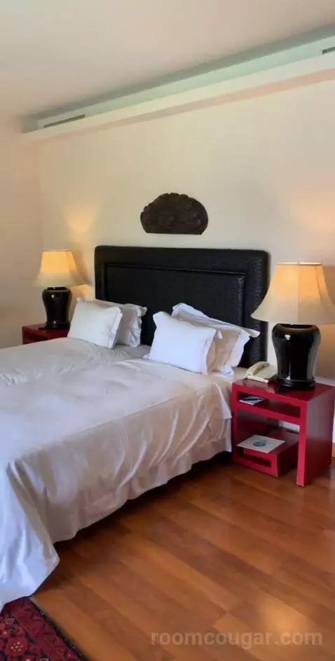 Exclusive Junior Suite with Private Jacuzzi or Pool bed picture #10