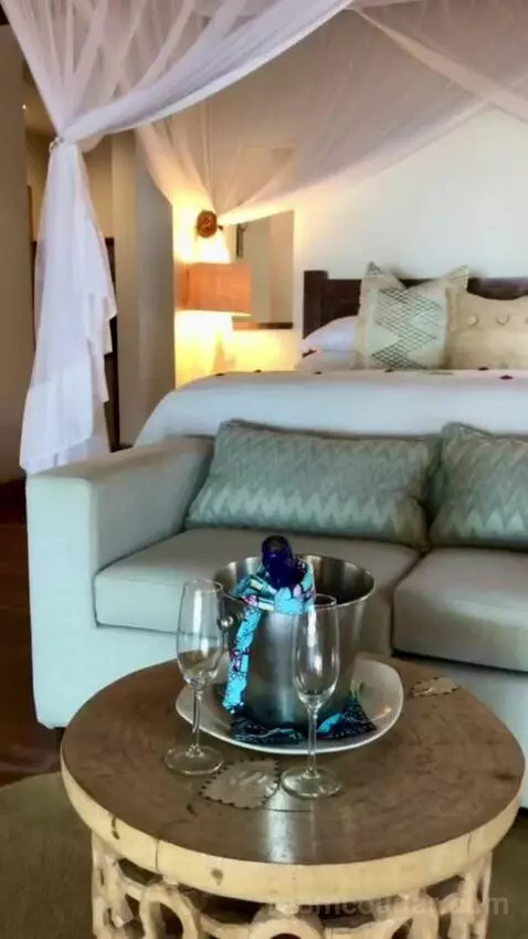 Infinity Beach Villa picture #9