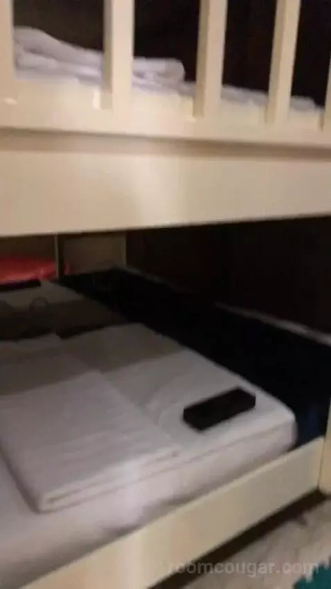 Family King Suite with One King Bed and One Bunk Bed - City View bed picture #6