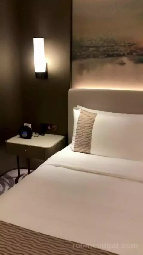 Executive Double Room bed picture #11