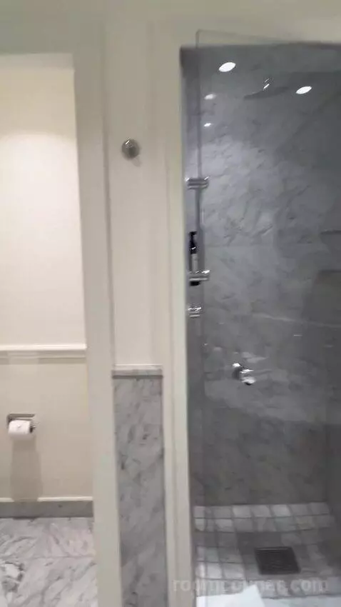 Deluxe Room with Mountain View bathroom picture #6