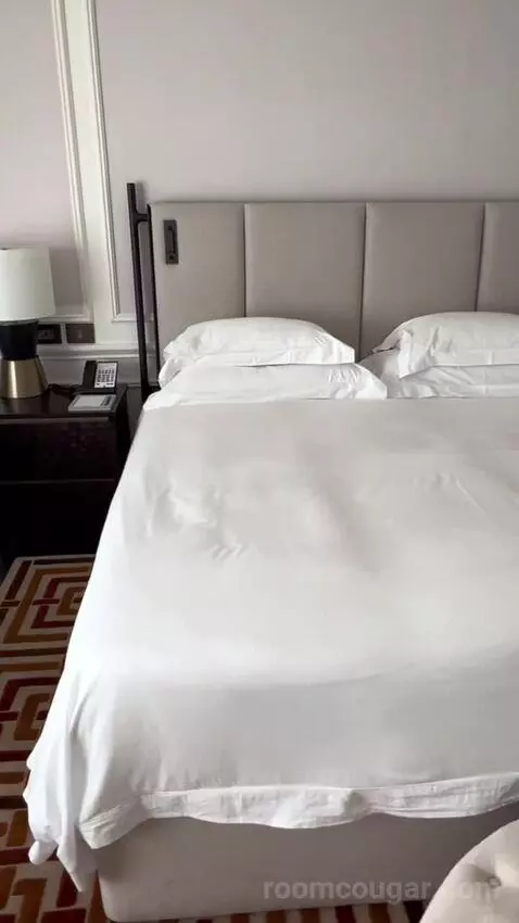 Deluxe Room with Mountain View picture #4