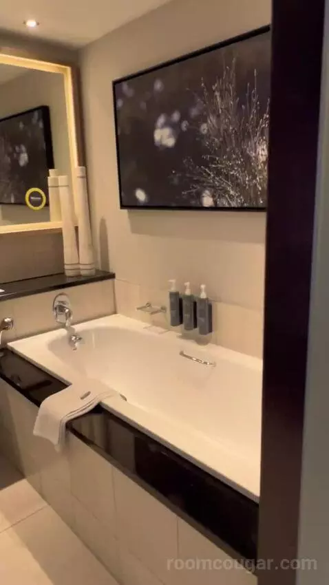Deluxe Twin Room (#1020) bathroom picture #1