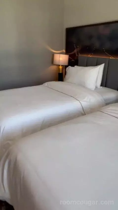 Deluxe Twin Room (#1020) bed picture #3
