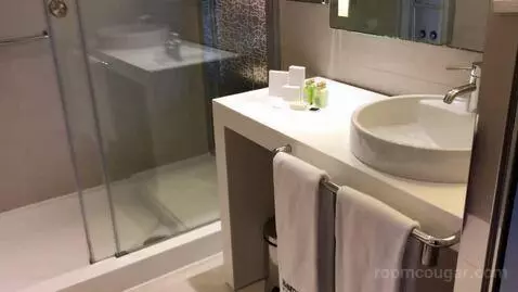 Double Room bathroom picture #2