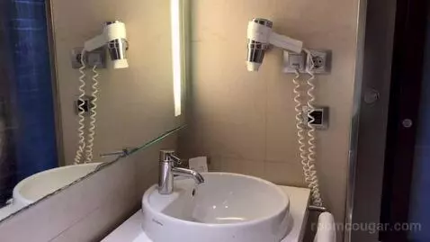 Double Room bathroom picture #5