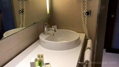 Double Room bathroom picture #8