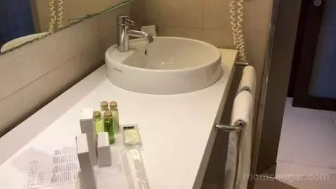 Double Room bathroom picture #10