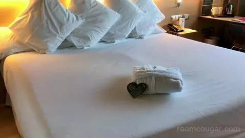 Double Room bed picture #10