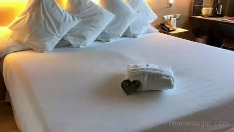 Double Room bed picture #11