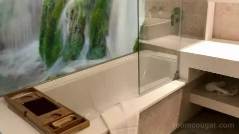 Superior Double Room bathroom picture #3