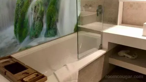 Superior Double Room bathroom picture #4
