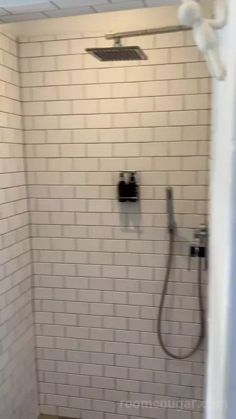 Standard (#1) bathroom picture #9