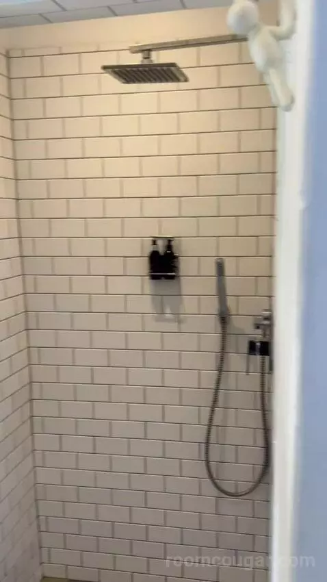 Standard (#1) bathroom picture #10