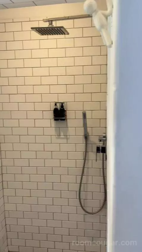 Standard (#1) bathroom picture #12