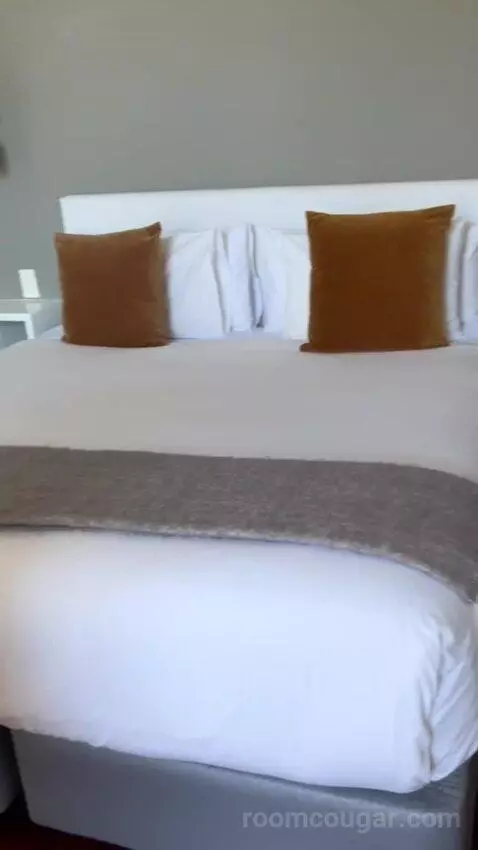 Standard (#1) bed picture #8