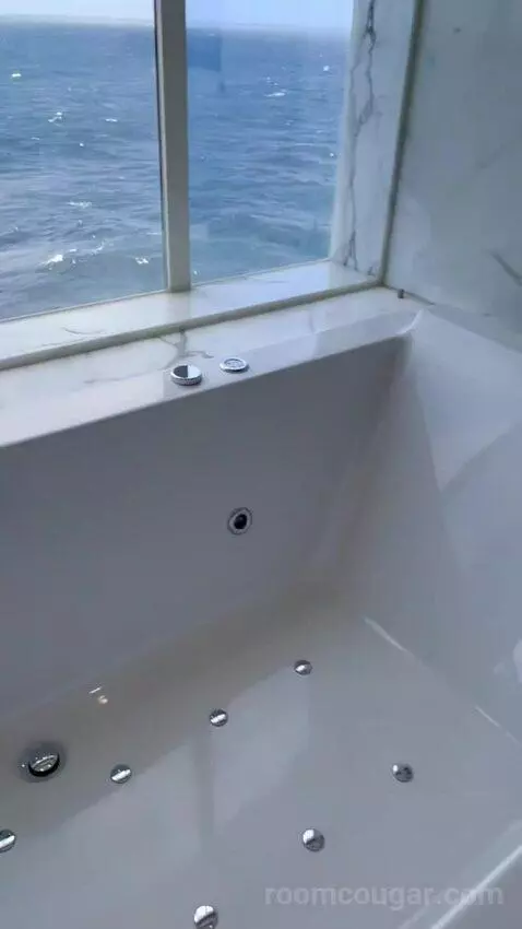Penthouse Suite (#1023) view picture #11