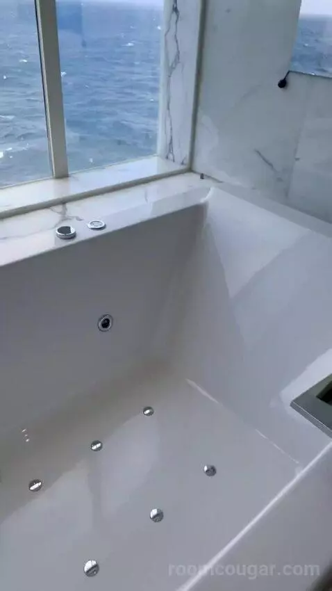 Penthouse Suite (#1023) view picture #12