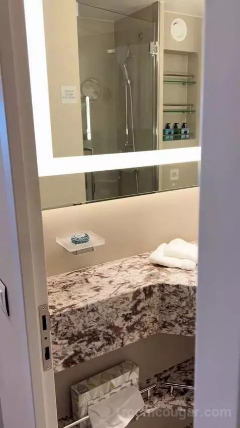 Double Room with Veranda (#8005) bathroom picture #1