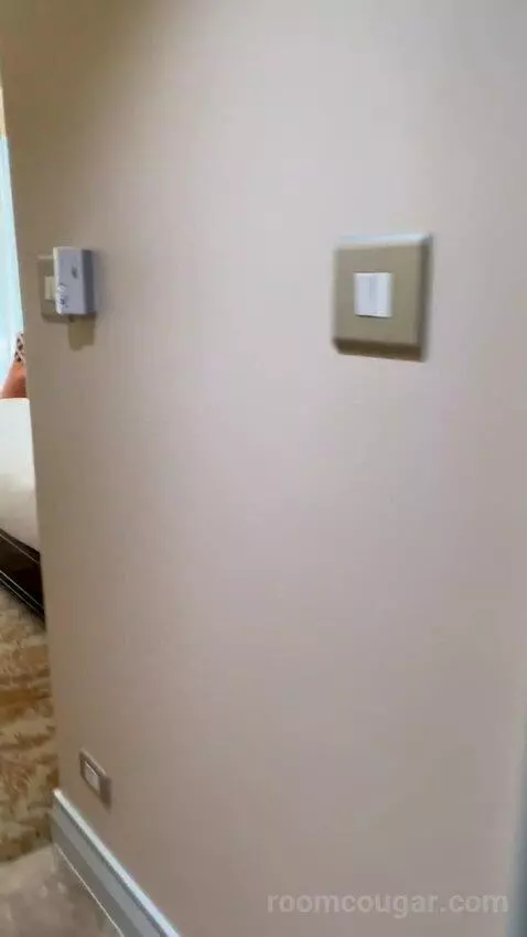 Superior King Room (#1603) picture #2