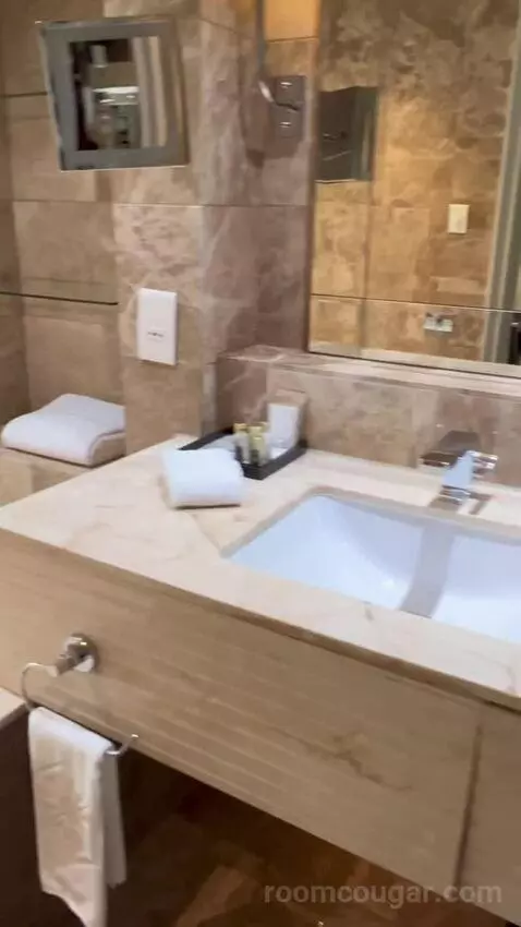Superior King Room (#1603) bathroom picture #9