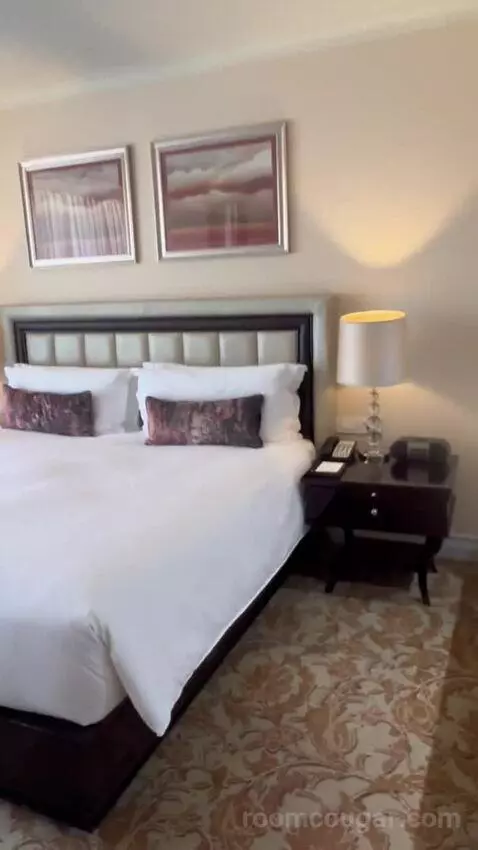 One Bedroom Suite with Executive Lounge Access (#1009) picture #13