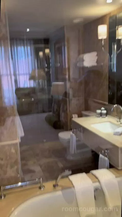 Luxury King Room with Mountain View - Heritage Wing (#507) bathroom picture #5
