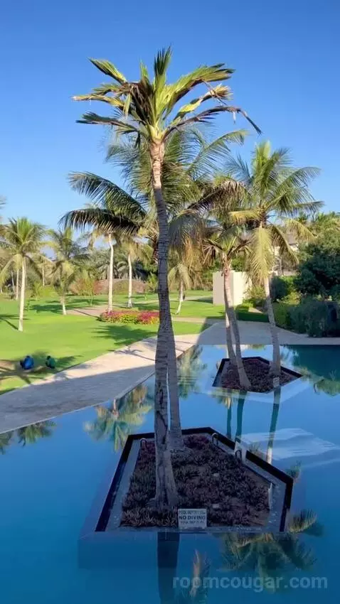 Deluxe Pool View Room (#211) view picture #6