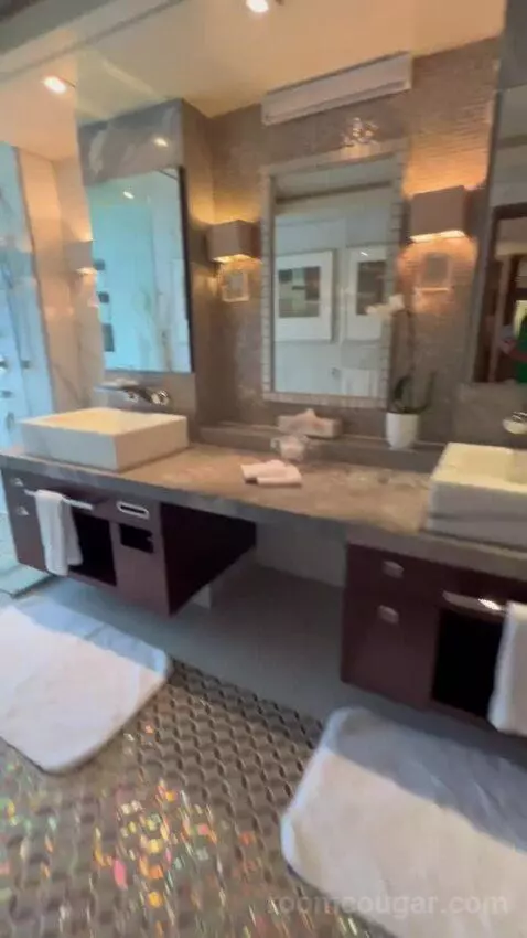 Penthouse Suite (#1022) bathroom picture #4