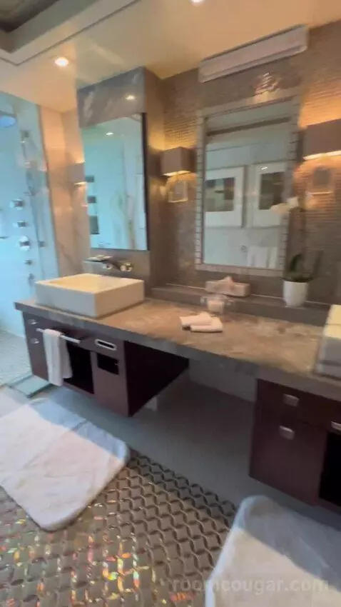 Penthouse Suite (#1022) bathroom picture #5