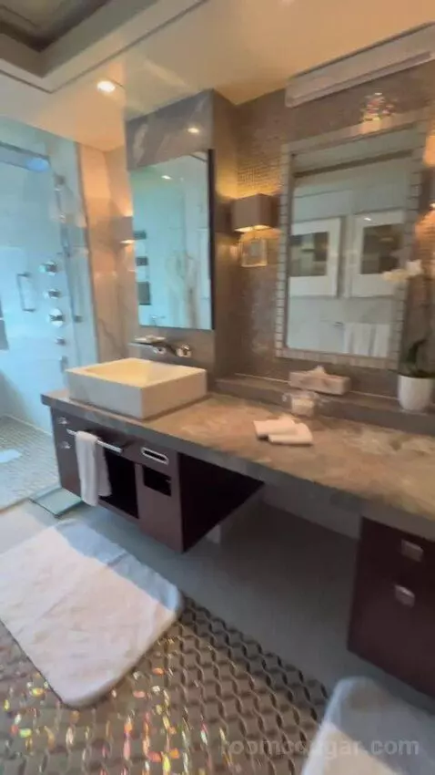 Penthouse Suite (#1022) bathroom picture #6